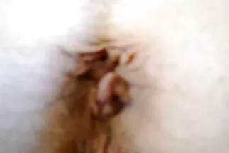 Mẹ kiếp con phim x nhật bản trai.
